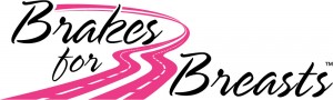 Brakes for Breasts Logo