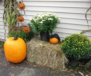 Congrats to the Winners of our Pumpkin Weighing Contest!