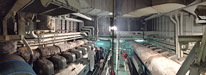 BOWELS OF THE SHIP